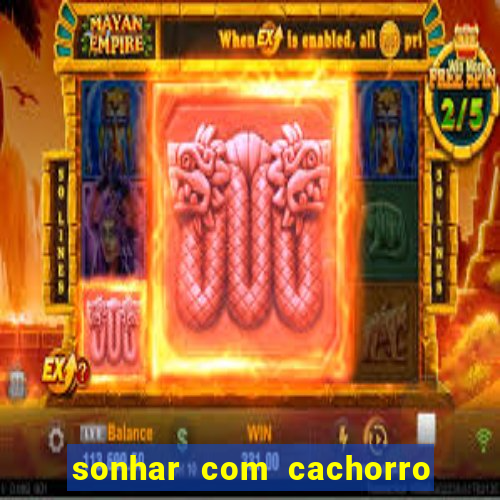 sonhar com cachorro numeros da mega sena